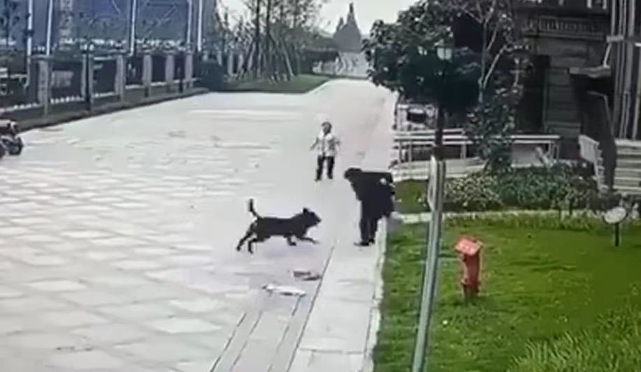 微信图片_20231018091752.jpg